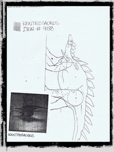 Museum-DesignSketches(Kentrosaurus4)(Large).jpg
