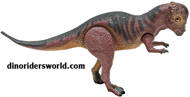 Pachycephalosauru-DinoOnly(Large).png