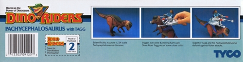 Pachycephalosaurus - Bottom.jpg